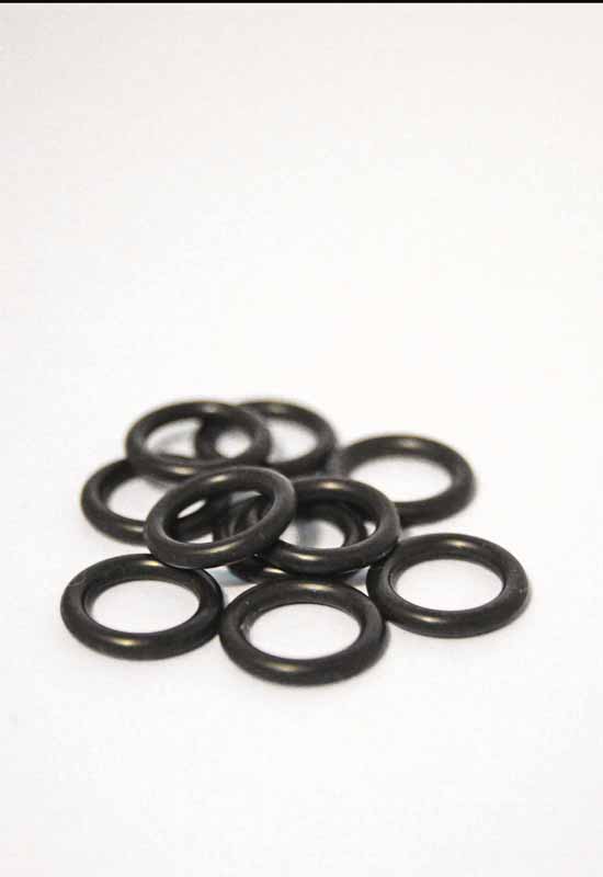 O Ring pack of 10